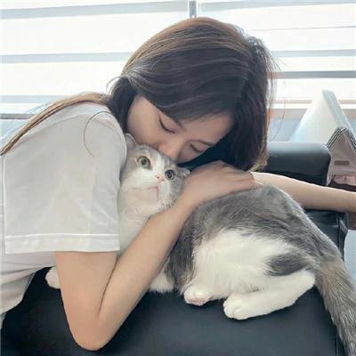 猫头鹰与小飞象